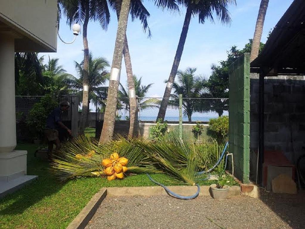 Janishi Residencies Hotel Negombo Exterior photo